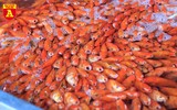 Chợ cá Yên Sở nhộn nhịp ngày ông Công ông Táo